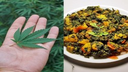 Family cooks and eats cannabis thinking it was methi (fenugreek)