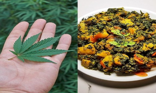 Family cooks and eats cannabis thinking it was methi (fenugreek)