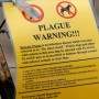 Young man dies of plague in Mongolia
