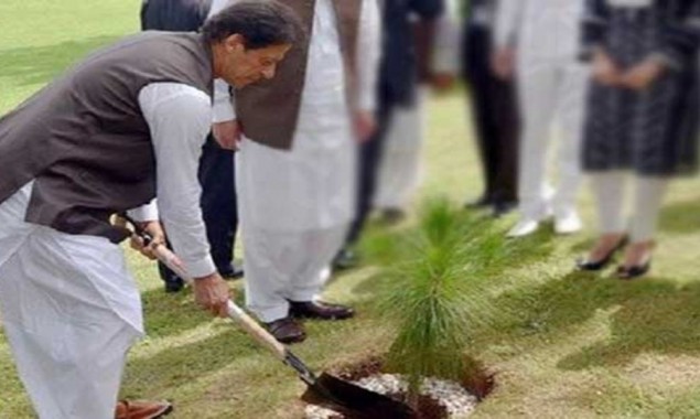 PM Imran to inaugurate ‘Asia’s largest’ Miyawaki urban forest on August 4