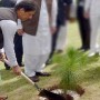 Tree planting campaign: One billion trees will be planted by next June, PM