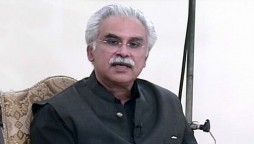 zafar mirza