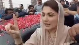 Imran Khan’s only goal is to put pressure on opposition: Maryam Nawaz