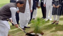 Pakistan launches biggest tree plantation campaign today
