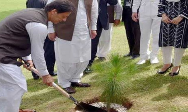 Pakistan launches biggest tree plantation campaign today