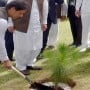 Pakistan launches biggest tree plantation campaign today