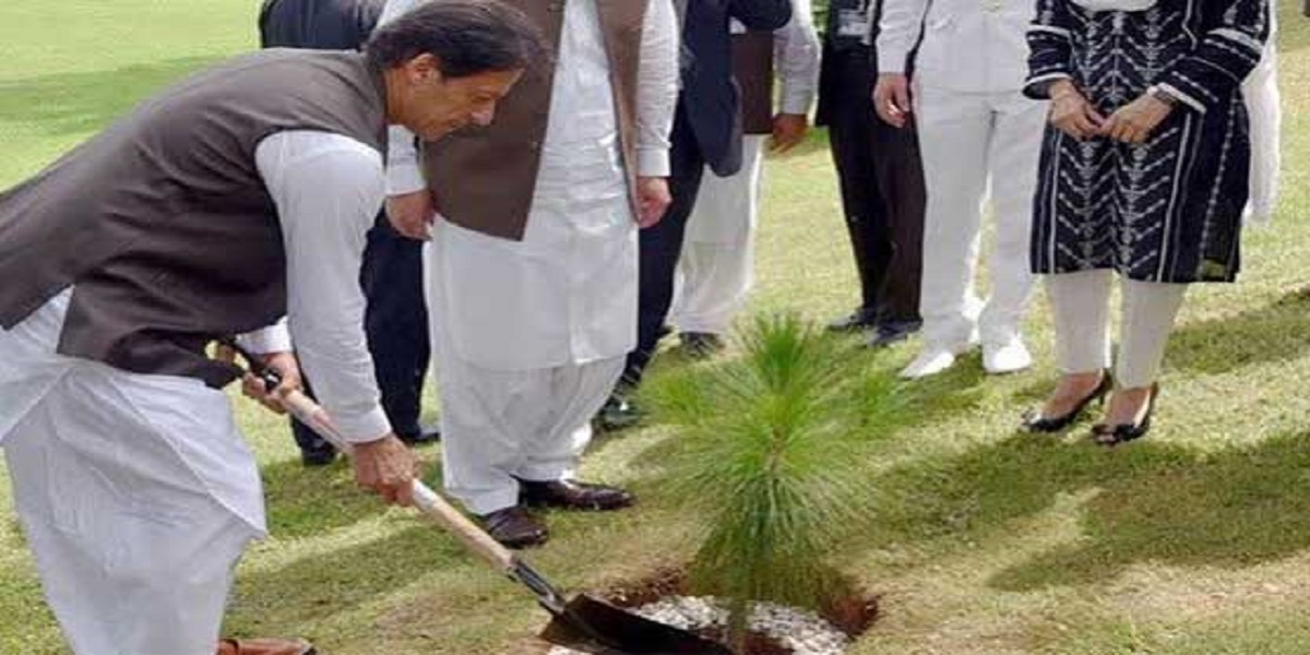 Pakistan launches biggest tree plantation campaign today