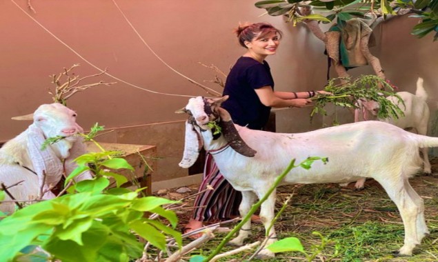 Mehwish Hayat misses her little farm after Eid-al-adha