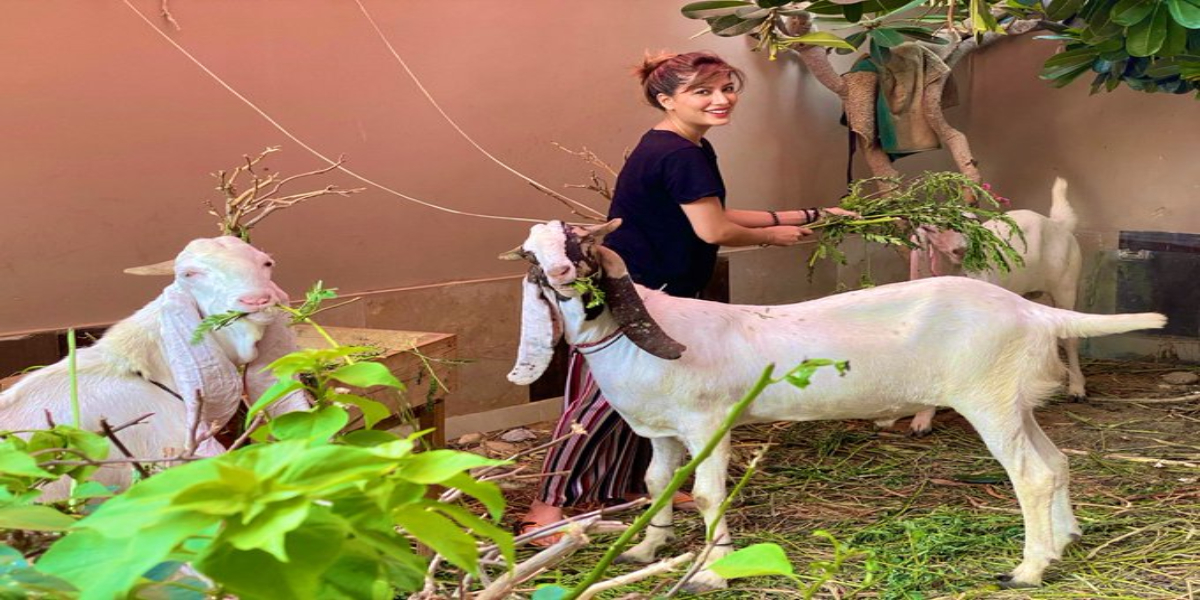 Mehwish Hayat Bakra eid 2020