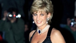 Princess Diana had a fridge full of her own blood to ensure safety