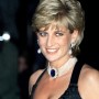 Princess Diana had a fridge full of her own blood to ensure safety