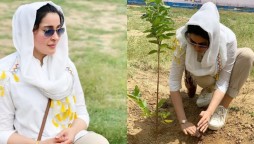 Shaista Lodhi plants tree and urges people to do the same