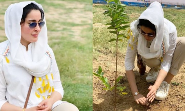 Shaista Lodhi plants tree and urges people to do the same