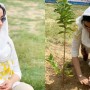 Shaista Lodhi plants tree and urges people to do the same