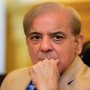 Accountability Court orders to Provide Shehbaz Sharif Chair, Food, Medicines In Jail
