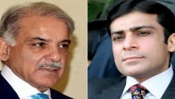 Shehbaz Sharif Hamza Shehbaz