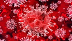 Research says coronavirus ‘survives for 28 days’ in lab conditions