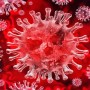 Research says coronavirus ‘survives for 28 days’ in lab conditions