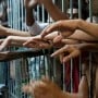Madagascar: Twenty prisoners killed during prison breakout