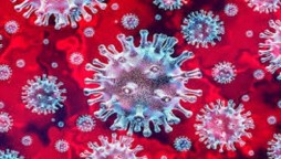 Coronavirus: Asymptomatic patients ‘carry same amount of virus’