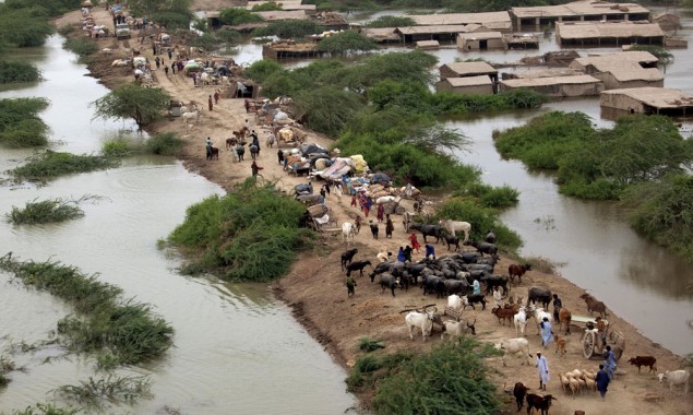 Sindh: More than 350 villages inundated due to heavy rainfall