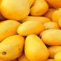 Pakistan is Now Producing Sugar-Free Mangoes for Diabetics