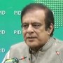 Opposition strangling their political future with their own hands: Shibli Faraz