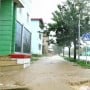 Typhoon Maysak: North Korea to punish officials over casualties