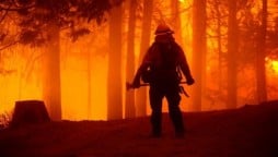 California: Wildfires burn through record area