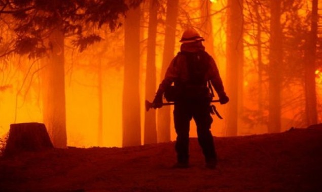 California: Wildfires burn through record area