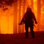 California: Wildfires burn through record area