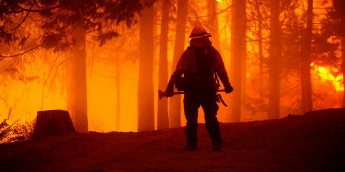 California: Wildfires burn through record area