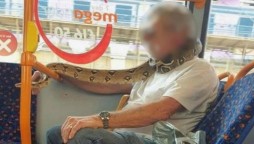 Man uses live snake as face mask on bus