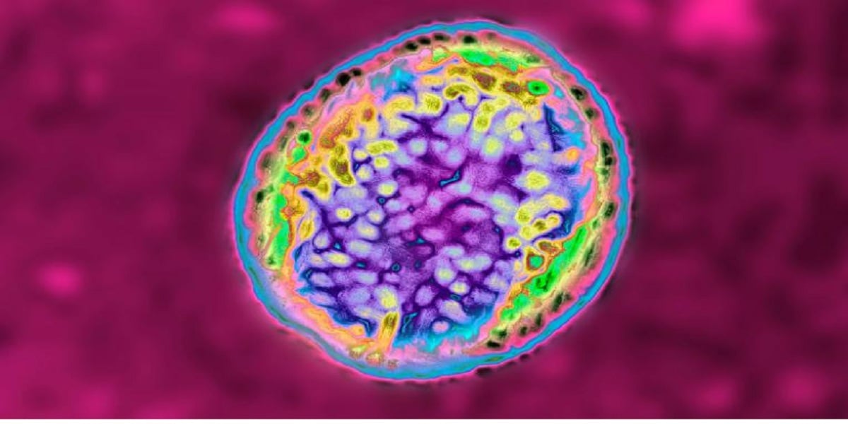 Bacteria outbreak in China