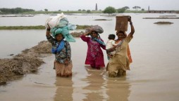 UAE's Khalifa Foundation distributes relief supplies to Sindh