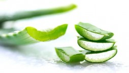 Aloe Vera health benefits