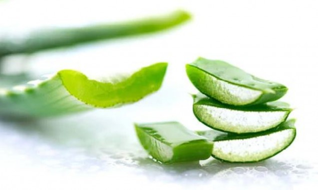 Aloe Vera for skin & hair: Health benefits, side effects and more