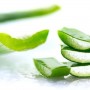 Aloe Vera for skin & hair: Health benefits, side effects and more