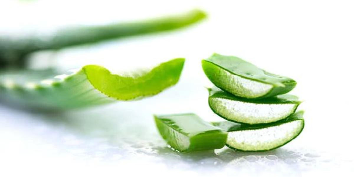 Aloe Vera health benefits