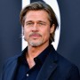 Brad Pitt to launch a new business with famous french family