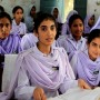 Pakistan’s youth literacy stands at 72%: survey