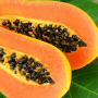 Papaya: A fruit that provides incredible benefits