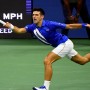 US Open: Djokovic continues his flawless season by defeating Damir Dzumhur