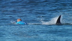 Florida Shark Attack