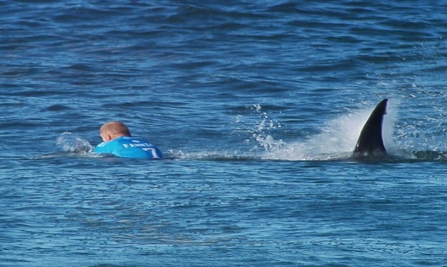 After being attacked by a shark, a Florida adolescent suffered a partial limb amputation