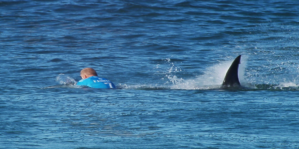 Florida Shark Attack