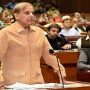 Shehbaz apologises for insensitive remarks
