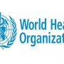 WHO reports record daily rise in new coronavirus infections