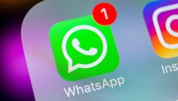 WhatsApp business new feature