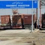 Pak-Afghan trade resumes under SOPs after Coronavirus subsides